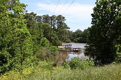 Sam Houston National forest